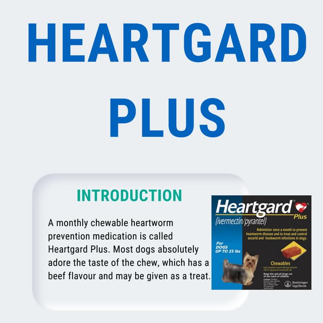 Heartgard Plus an ultimate heartworm disease protection treatment. PDF