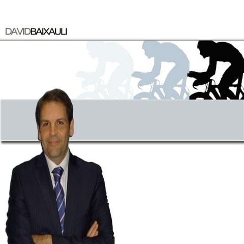 CV DAVID BAIXAULI