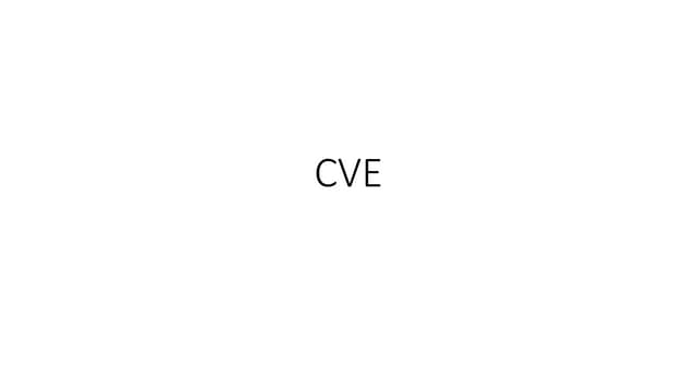 Common Vulnerabilities and Exposures details