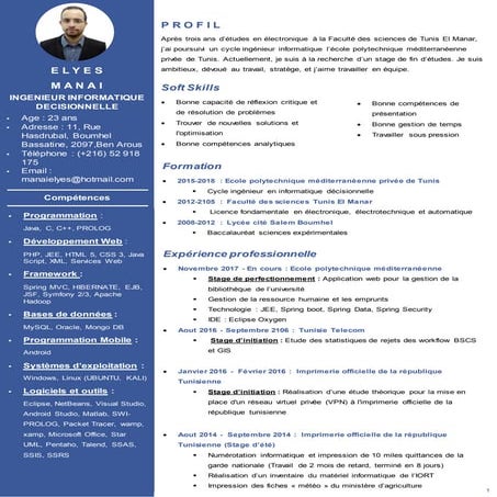 curriculum vitae