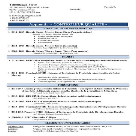 CV Marc Daniel | PDF
