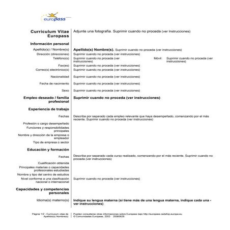 Cv europeo