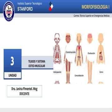 TEJIDOS Y SISTEMA OSTEO-MUSCULAR