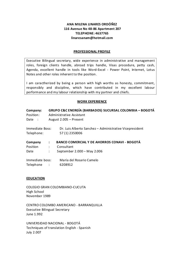 cv-in-english