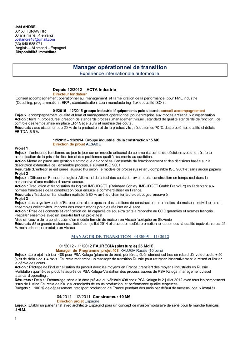 Curriculum vitae format in word image