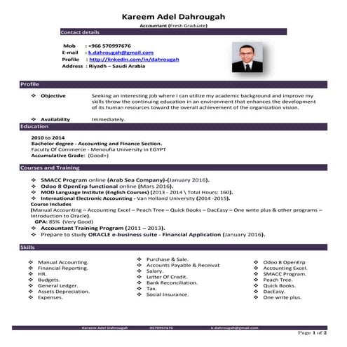 Cv kareem dahrougah_accountant