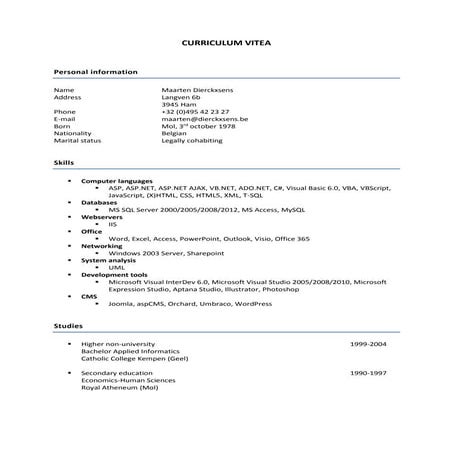 Cv maarten dierckxsens_en