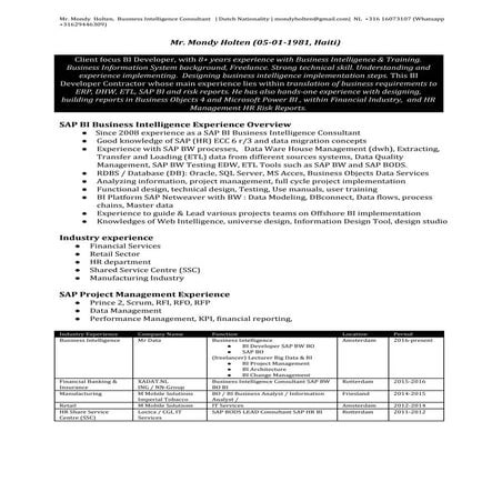 Business Intelligence / IT Consultant / Trainer