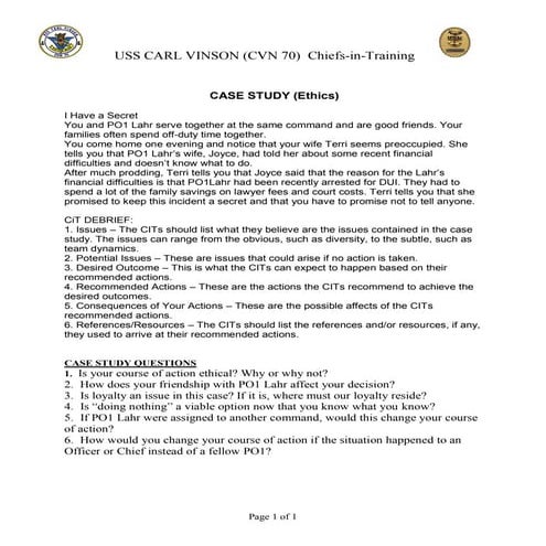 CVN70 CIT case study (Damn Exec) | PDF