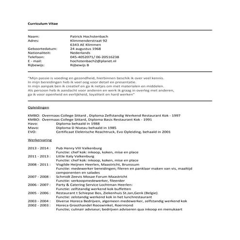 Cv robin rijnders (robin rijnders) | PDF