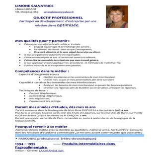 Cv Optimisation ClientèLe