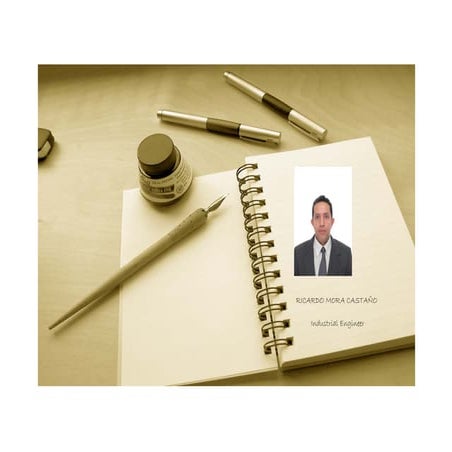 Cv Ricardo Mora Castaño english