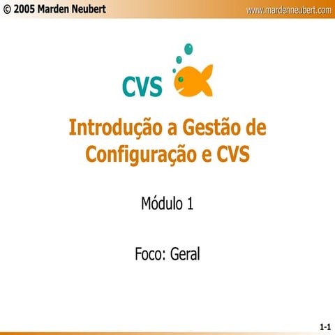 CVS - Slides Parte 1 - Introdução