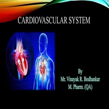 Cardiovascular system
