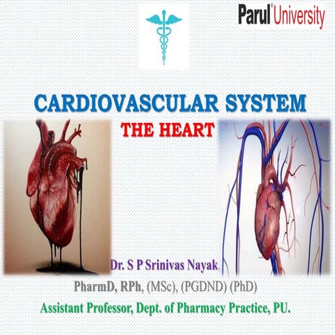 CARDIO VASCULAR SYSTEM THE HEART