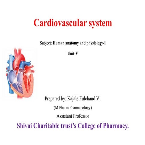 Cardiovascular system