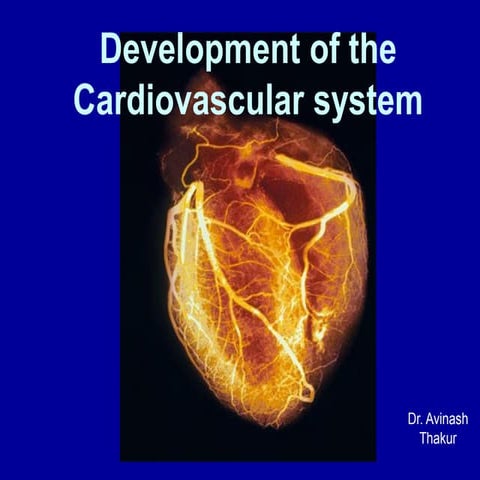 Development of Heart (Embryology) | PPTX