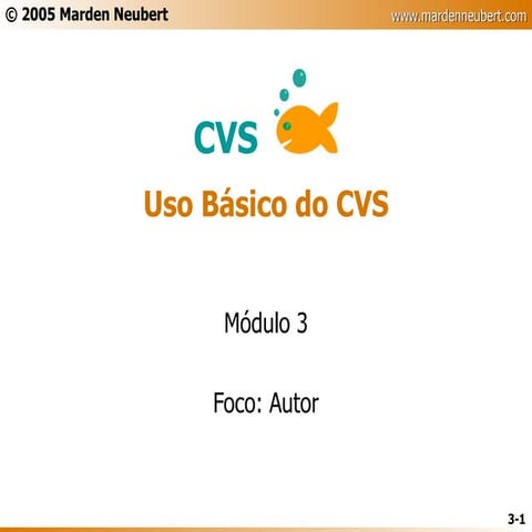 CVS - Slides Parte 3 - Básico