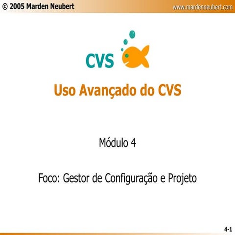 CVS - Slides Parte 4 - Avançado