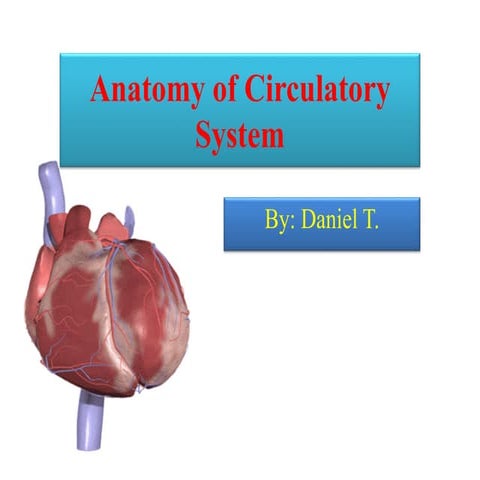 CVSsssssssssssssssssssssssssssssssssssss anatomy.pdf