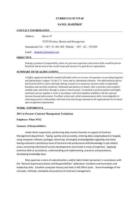 Cv, sanel hadzikic