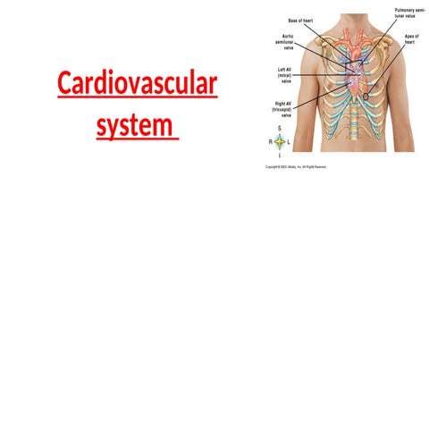 (CVS) Cardiovascular System.ppt by Sd Ñargis fatima | PDF