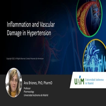 Inflammation and Vascular Damage in Hypertension | PDF