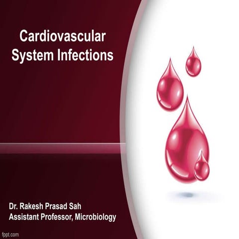 Cardiovascular system infections by Rakesh Prasad Sah