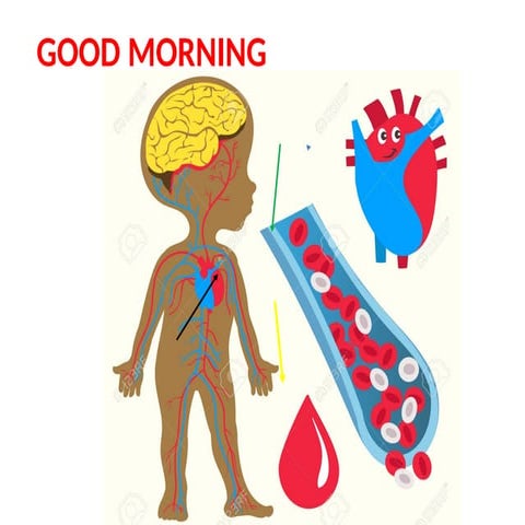 General anatomy of vascular system With clinical applications