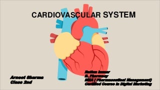 Cardiovascular System 