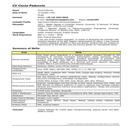 CV Template per Ingegneri