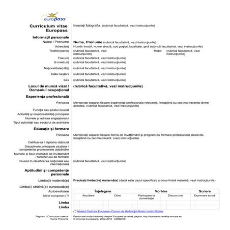 Cv template