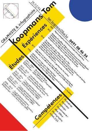 CURRICULUM VITAE Tom Koopmans 2020
