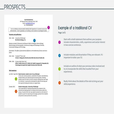 Cv traditional 2015 | PDF