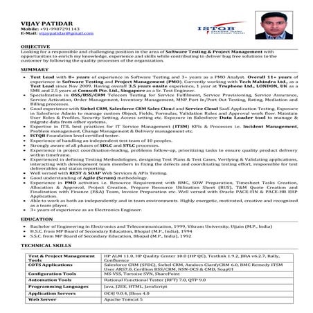 CV_Vijay Patidar_Testing