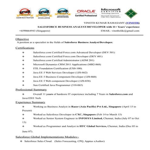 Salesforce 11 yrs exp - Vinoth