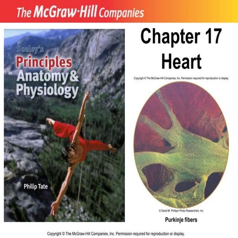 12_heart.ppt