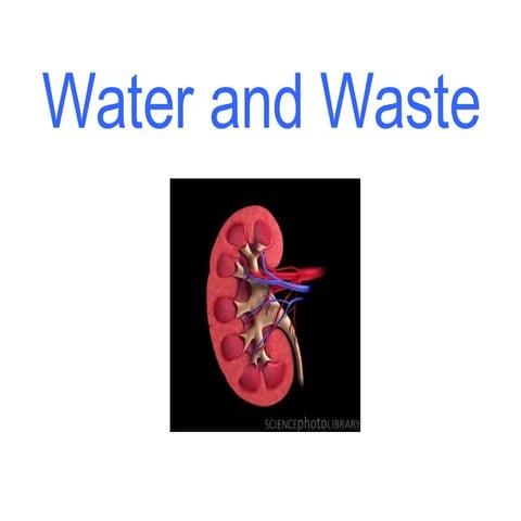 C) Water And Waste