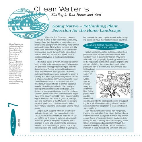 Clean Waters: Rethinking Plant Selection for the Home Landscape - University ...