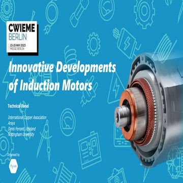 Induction Motors Matching Permanent Magnet Performances at Lower Costs