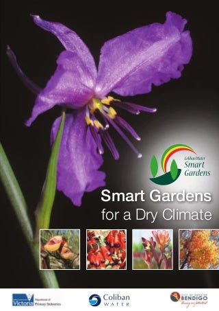 Arguments For Getting Rid Of How To Root Christmas Cactus In Water