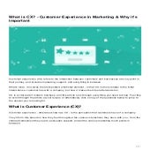 What is Customer Experience in Marketing
