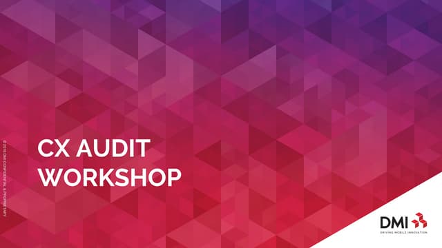 CX Audit Workshop