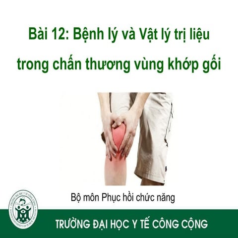 bệnh lý và vật lý trị liệu chấn thương vùng gối