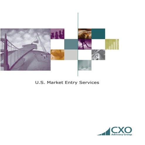 USA Market Entry Services - CXO Advisory Group