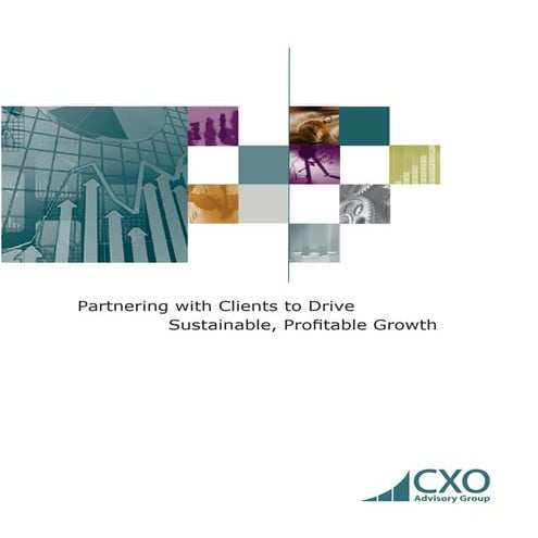 CXO Advisory Group company brochure
