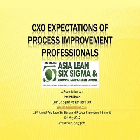 CXO expectations of process improvement professionals | PDF