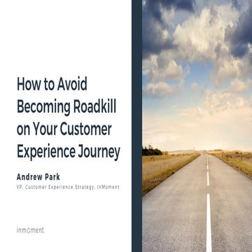 How to Avoid Becoming Roadkill on Your Customer Experience Journey