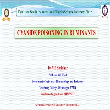 HYDROCYANIC ACID TOXICITY IN RUMINANTS BY DR N B SHRIDHAR