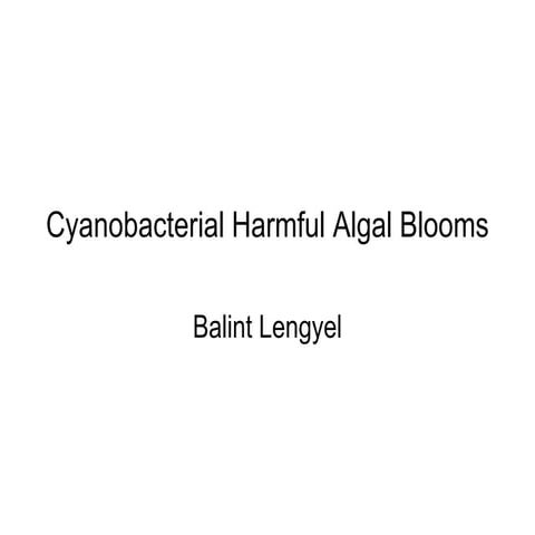 Cyanobacterial Blooms